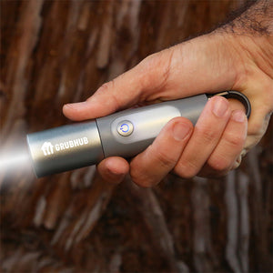 Grubhub Odyssey Point Flashlight