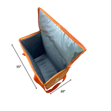 Load image into Gallery viewer, Standard Deluxe PEVA Insulated Bag (15x15x10) 35397126717603